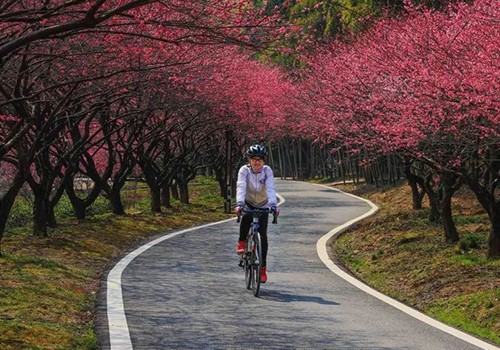 bike riding3