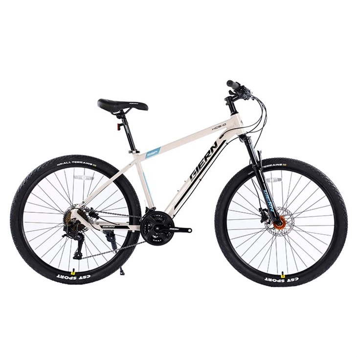Fat Mountain Bike Variable Speed Bicycle Bmx Bike