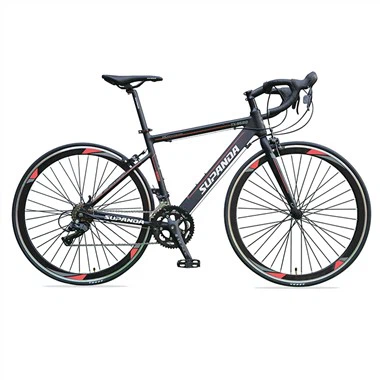 Bike tat-Toroq tal-Livell tad-Dħul